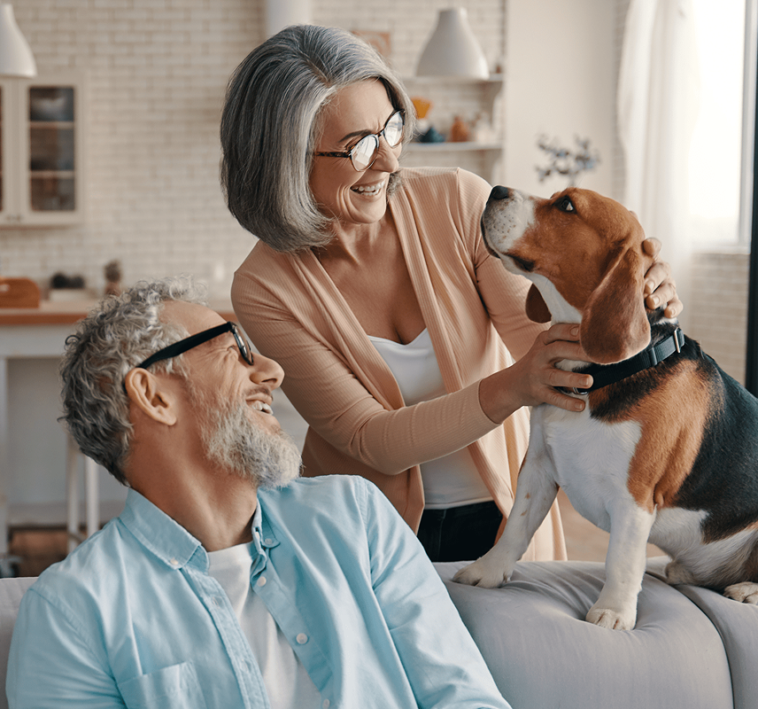 Your Reliable Partner in Vision.