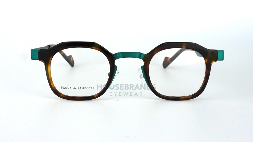 Geometric Tortoise Teal Frames (S9209Y-C2)