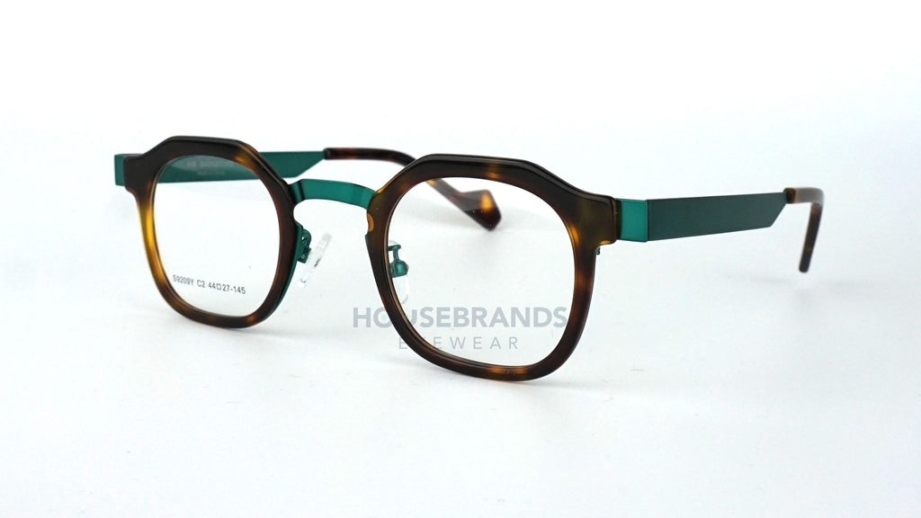 Geometric Tortoise Teal Frames (S9209Y-C2)